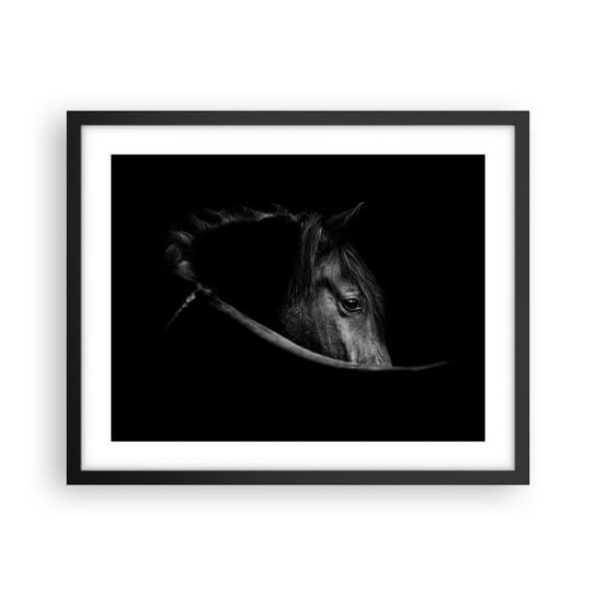 Obraz - Plakat - Czarny książę - 50x40cm - Koń Zwierzę Artystyczny - Foto Plakaty w ramie koloru czarnego do Salonu Sypialni ARTTOR ARTTOR