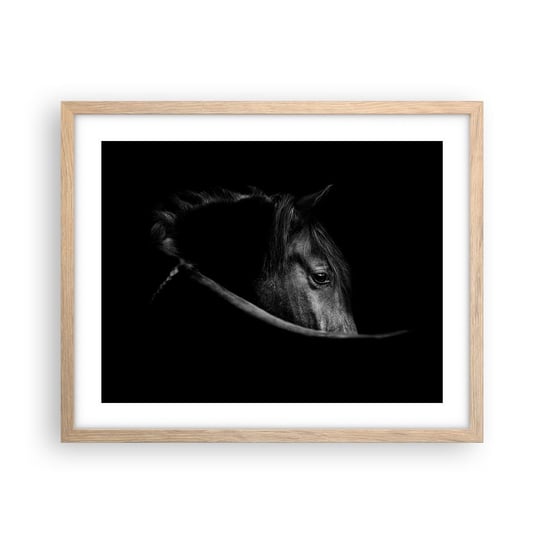 Obraz - Plakat - Czarny książę - 50x40cm - Koń Zwierzę Artystyczny - Foto Plakaty w ramie koloru jasny dąb do Salonu Sypialni ARTTOR ARTTOR