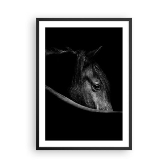 Obraz - Plakat - Czarny książę - 50x70cm - Koń Zwierzę Artystyczny - Nowoczesny modny obraz Plakat czarna rama ARTTOR ARTTOR