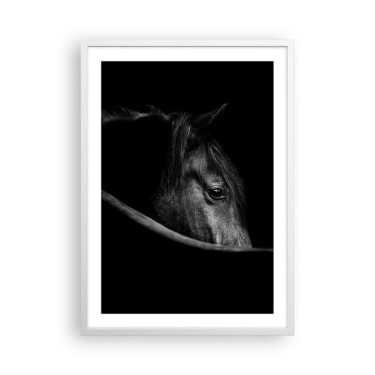 Obraz - Plakat - Czarny książę - 50x70cm - Koń Zwierzę Artystyczny - Nowoczesny modny obraz Plakat rama biała ARTTOR ARTTOR