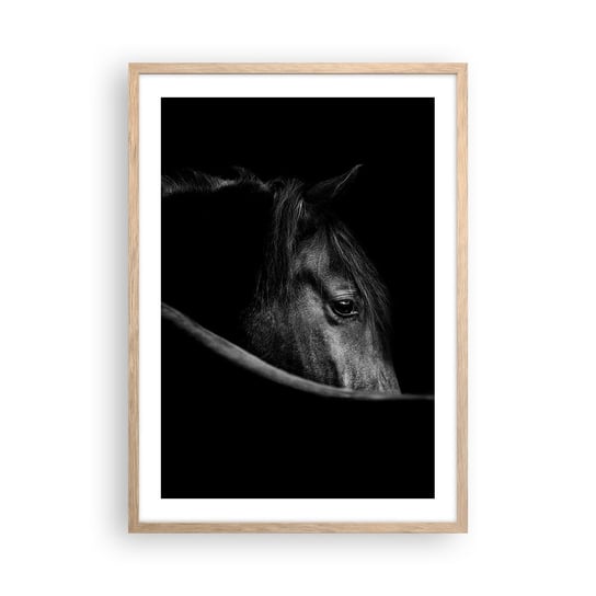 Obraz - Plakat - Czarny książę - 50x70cm - Koń Zwierzę Artystyczny - Nowoczesny modny obraz Plakat rama jasny dąb ARTTOR ARTTOR
