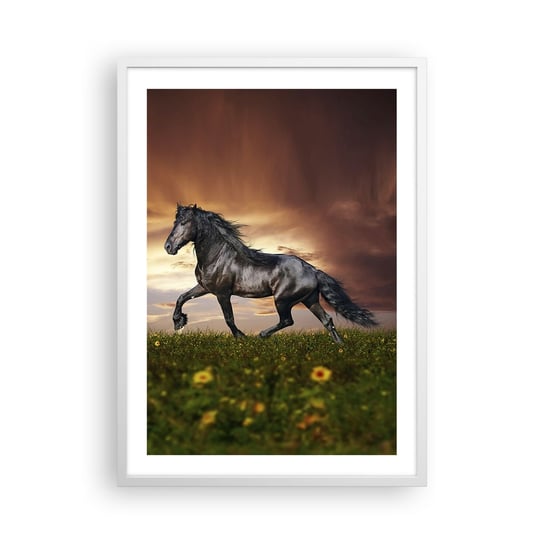 Obraz - Plakat - Czarny książę - 50x70cm - Zwierzęta Koń Arabski Krajobraz - Nowoczesny modny obraz Plakat rama biała ARTTOR ARTTOR