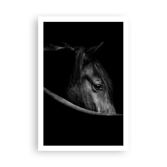 Obraz - Plakat - Czarny książę - 61x91cm - Koń Zwierzę Artystyczny - Foto Plakaty na ścianę bez ramy - Plakat do Salonu Sypialni ARTTOR ARTTOR