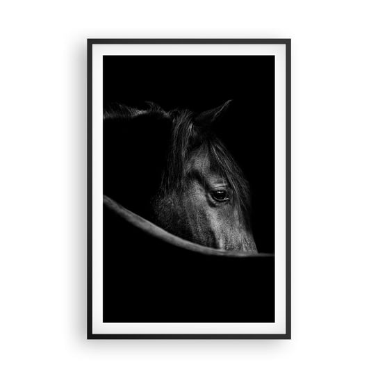 Obraz - Plakat - Czarny książę - 61x91cm - Koń Zwierzę Artystyczny - Foto Plakaty na ścianę w czarnej ramie - Plakat do Salonu Sypialni ARTTOR ARTTOR