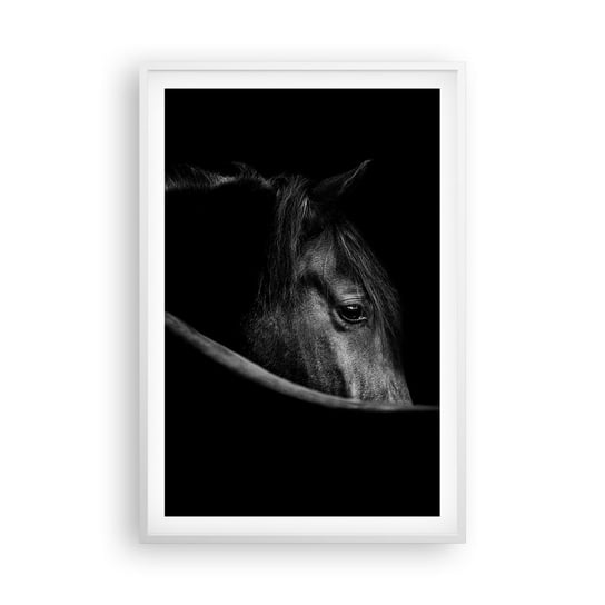 Obraz - Plakat - Czarny książę - 61x91cm - Koń Zwierzę Artystyczny - Foto Plakaty na ścianę w ramie białej - Plakat do Salonu Sypialni ARTTOR ARTTOR