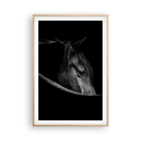 Obraz - Plakat - Czarny książę - 61x91cm - Koń Zwierzę Artystyczny - Foto Plakaty na ścianę w ramie jasny dąb - Plakat do Salonu Sypialni ARTTOR ARTTOR