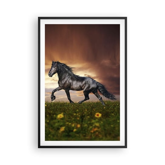 Obraz - Plakat - Czarny książę - 61x91cm - Zwierzęta Koń Arabski Krajobraz - Foto Plakaty na ścianę w czarnej ramie - Plakat do Salonu Sypialni ARTTOR ARTTOR