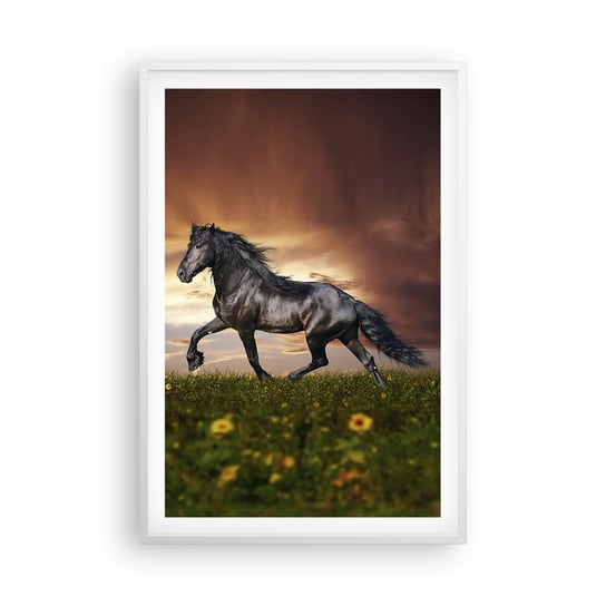 Obraz - Plakat - Czarny książę - 61x91cm - Zwierzęta Koń Arabski Krajobraz - Foto Plakaty na ścianę w ramie białej - Plakat do Salonu Sypialni ARTTOR ARTTOR