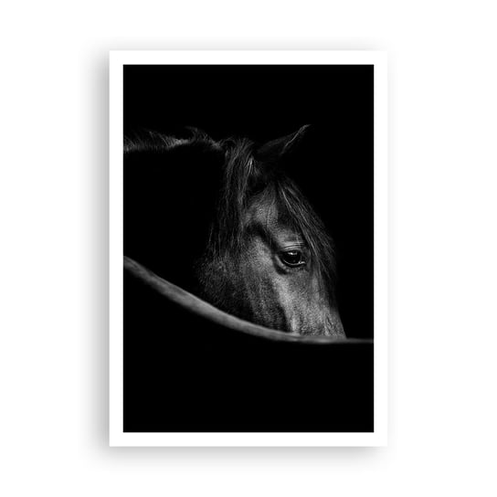 Obraz - Plakat - Czarny książę - 70x100cm - Koń Zwierzę Artystyczny - Foto Plakaty bez ramy na ścianę do Salonu Sypialni ARTTOR ARTTOR