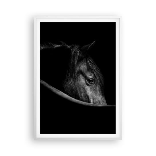 Obraz - Plakat - Czarny książę - 70x100cm - Koń Zwierzę Artystyczny - Foto Plakaty w ramie koloru białego do Salonu Sypialni ARTTOR ARTTOR