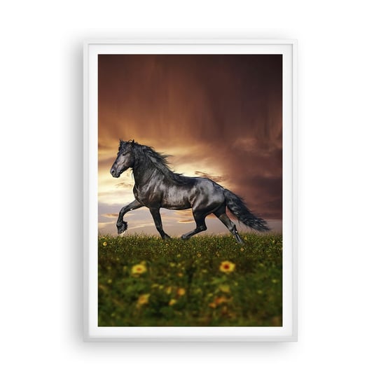 Obraz - Plakat - Czarny książę - 70x100cm - Zwierzęta Koń Arabski Krajobraz - Foto Plakaty w ramie koloru białego do Salonu Sypialni ARTTOR ARTTOR