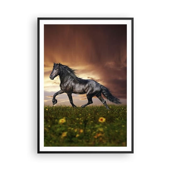 Obraz - Plakat - Czarny książę - 70x100cm - Zwierzęta Koń Arabski Krajobraz - Foto Plakaty w ramie koloru czarnego do Salonu Sypialni ARTTOR ARTTOR