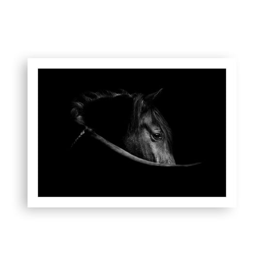 Obraz - Plakat - Czarny książę - 70x50cm - Koń Zwierzę Artystyczny - Nowoczesny modny obraz Plakat bez ramy do Salonu Sypialni ARTTOR ARTTOR