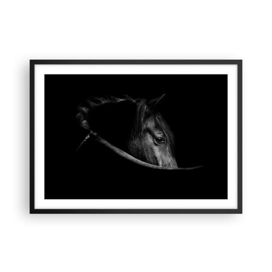 Obraz - Plakat - Czarny książę - 70x50cm - Koń Zwierzę Artystyczny - Nowoczesny modny obraz Plakat czarna rama ARTTOR ARTTOR