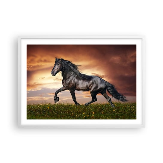 Obraz - Plakat - Czarny książę - 70x50cm - Zwierzęta Koń Arabski Krajobraz - Nowoczesny modny obraz Plakat rama biała ARTTOR ARTTOR