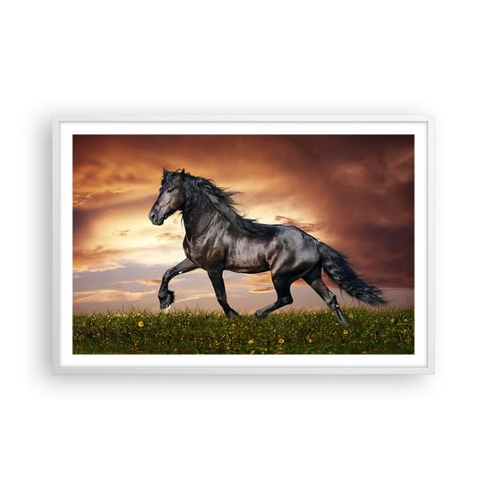 Obraz - Plakat - Czarny książę - 91x61cm - Zwierzęta Koń Arabski Krajobraz - Foto Plakaty na ścianę w ramie białej - Plakat do Salonu Sypialni ARTTOR ARTTOR