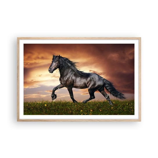 Obraz - Plakat - Czarny książę - 91x61cm - Zwierzęta Koń Arabski Krajobraz - Foto Plakaty na ścianę w ramie jasny dąb - Plakat do Salonu Sypialni ARTTOR ARTTOR