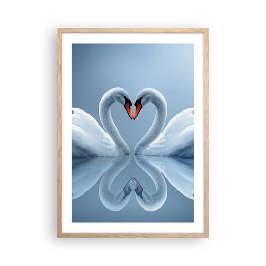 Obraz - Plakat - Czas na miłość - 50x70cm - Łabędzie Miłość Serce - Nowoczesny modny obraz Plakat rama jasny dąb ARTTOR ARTTOR