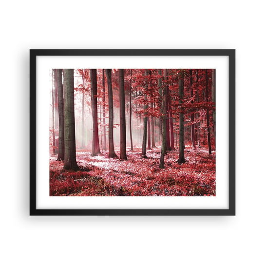 Obraz - Plakat - Czerwony równie piękny - 50x40cm - Krajobraz Las Drzewa - Foto Plakaty w ramie koloru czarnego do Salonu Sypialni ARTTOR ARTTOR