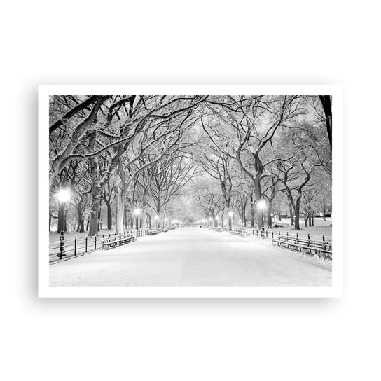 Obraz - Plakat - Cztery pory roku – zima - 100x70cm - Śnieg Zima Park - Foto Plakaty bez ramy na ścianę do Salonu Sypialni ARTTOR ARTTOR
