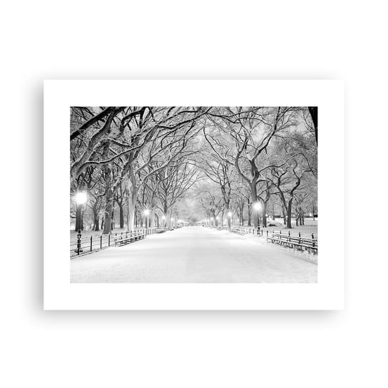 Obraz - Plakat - Cztery pory roku – zima - 40x30cm - Śnieg Zima Park - Foto Plakaty na ścianę bez ramy - Plakat do Salonu Sypialni ARTTOR ARTTOR