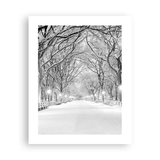 Obraz - Plakat - Cztery pory roku – zima - 40x50cm - Śnieg Zima Park - Foto Plakaty bez ramy do Salonu Sypialni ARTTOR ARTTOR