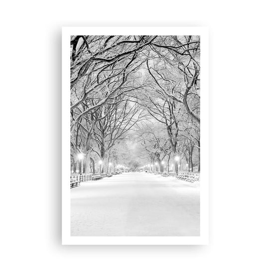 Obraz - Plakat - Cztery pory roku – zima - 61x91cm - Śnieg Zima Park - Foto Plakaty na ścianę bez ramy - Plakat do Salonu Sypialni ARTTOR ARTTOR