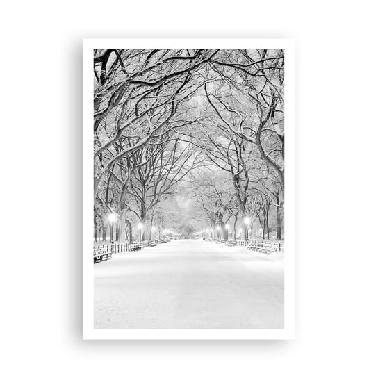 Obraz - Plakat - Cztery pory roku – zima - 70x100cm - Śnieg Zima Park - Foto Plakaty bez ramy na ścianę do Salonu Sypialni ARTTOR ARTTOR