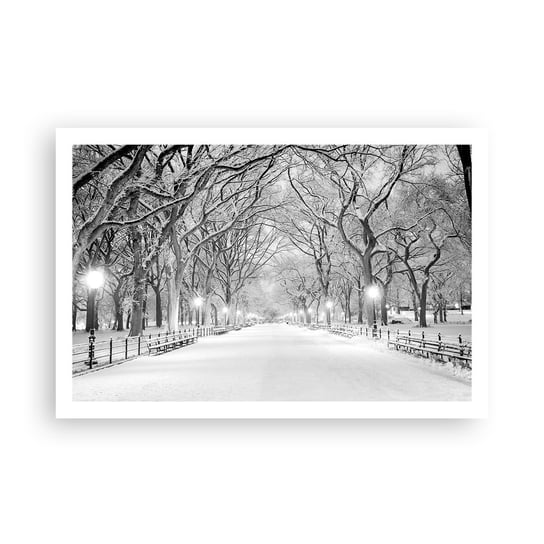 Obraz - Plakat - Cztery pory roku – zima - 91x61cm - Śnieg Zima Park - Foto Plakaty na ścianę bez ramy - Plakat do Salonu Sypialni ARTTOR ARTTOR