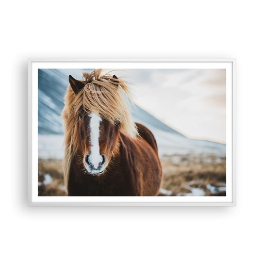 Obraz - Plakat - Czujesz wolność? - 100x70cm - Koń Natura Zwierzęta - Foto Plakaty w ramie koloru białego do Salonu Sypialni ARTTOR ARTTOR