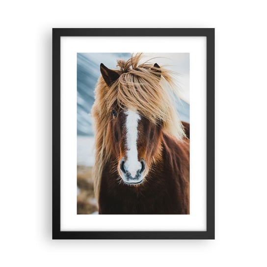 Obraz - Plakat - Czujesz wolność? - 30x40cm - Koń Natura Zwierzęta - Foto Plakaty na ścianę w czarnej ramie - Plakat do Salonu Sypialni ARTTOR ARTTOR