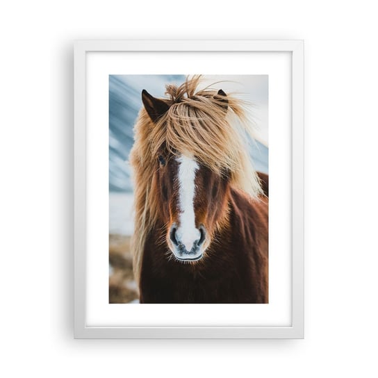 Obraz - Plakat - Czujesz wolność? - 30x40cm - Koń Natura Zwierzęta - Foto Plakaty na ścianę w ramie białej - Plakat do Salonu Sypialni ARTTOR ARTTOR