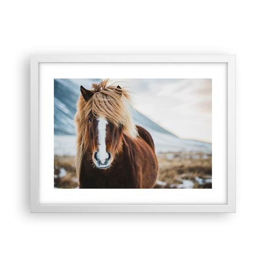 Obraz - Plakat - Czujesz wolność? - 40x30cm - Koń Natura Zwierzęta - Foto Plakaty na ścianę w ramie białej - Plakat do Salonu Sypialni ARTTOR ARTTOR