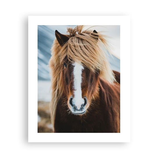 Obraz - Plakat - Czujesz wolność? - 40x50cm - Koń Natura Zwierzęta - Foto Plakaty bez ramy do Salonu Sypialni ARTTOR ARTTOR