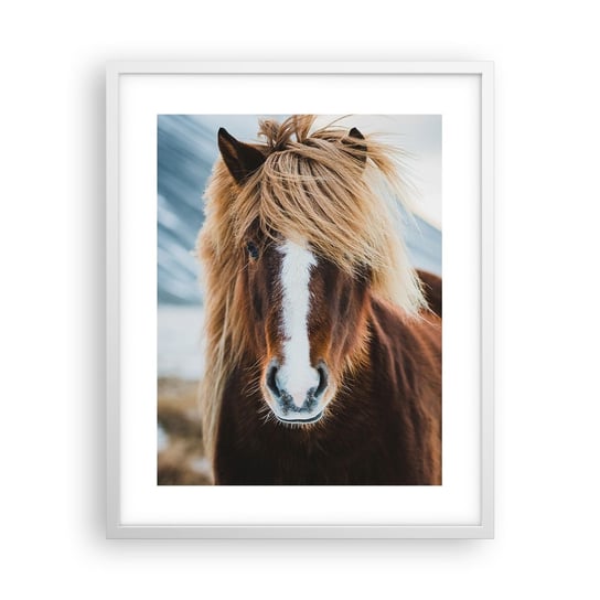 Obraz - Plakat - Czujesz wolność? - 40x50cm - Koń Natura Zwierzęta - Foto Plakaty w ramie koloru białego do Salonu Sypialni ARTTOR ARTTOR