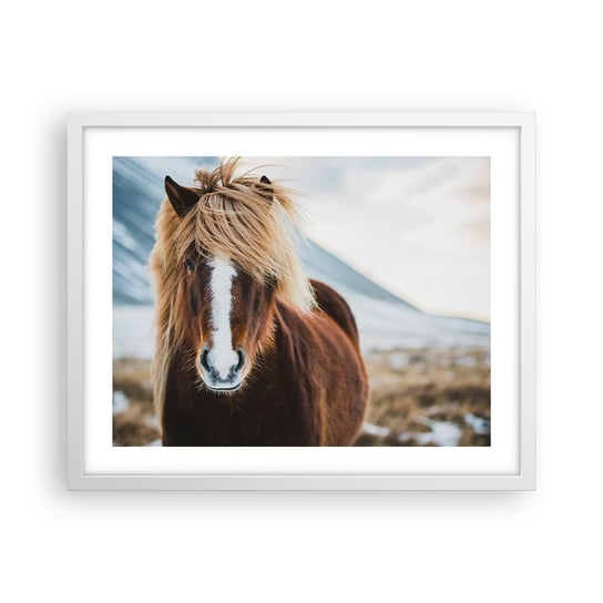 Obraz - Plakat - Czujesz wolność? - 50x40cm - Koń Natura Zwierzęta - Foto Plakaty w ramie koloru białego do Salonu Sypialni ARTTOR ARTTOR