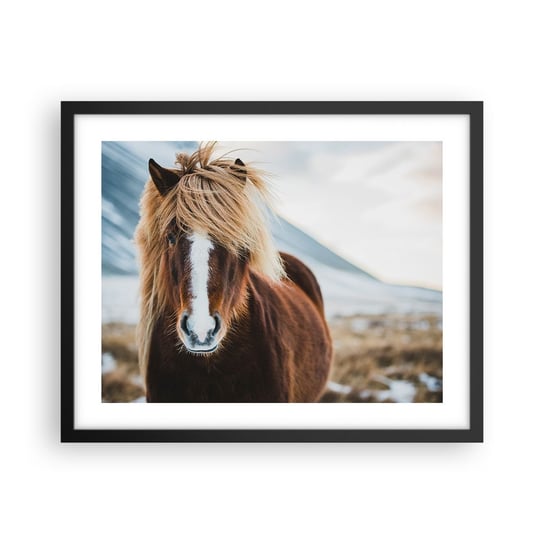 Obraz - Plakat - Czujesz wolność? - 50x40cm - Koń Natura Zwierzęta - Foto Plakaty w ramie koloru czarnego do Salonu Sypialni ARTTOR ARTTOR