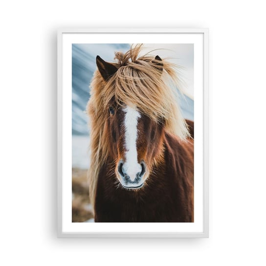 Obraz - Plakat - Czujesz wolność? - 50x70cm - Koń Natura Zwierzęta - Nowoczesny modny obraz Plakat rama biała ARTTOR ARTTOR
