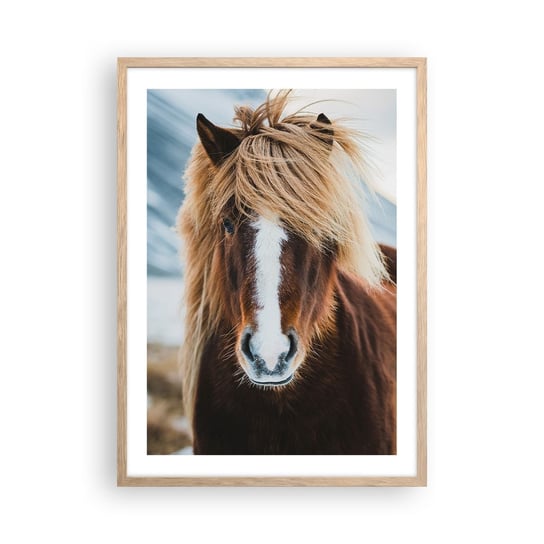 Obraz - Plakat - Czujesz wolność? - 50x70cm - Koń Natura Zwierzęta - Nowoczesny modny obraz Plakat rama jasny dąb ARTTOR ARTTOR