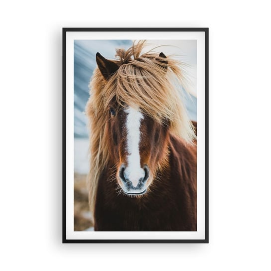 Obraz - Plakat - Czujesz wolność? - 61x91cm - Koń Natura Zwierzęta - Foto Plakaty na ścianę w czarnej ramie - Plakat do Salonu Sypialni ARTTOR ARTTOR