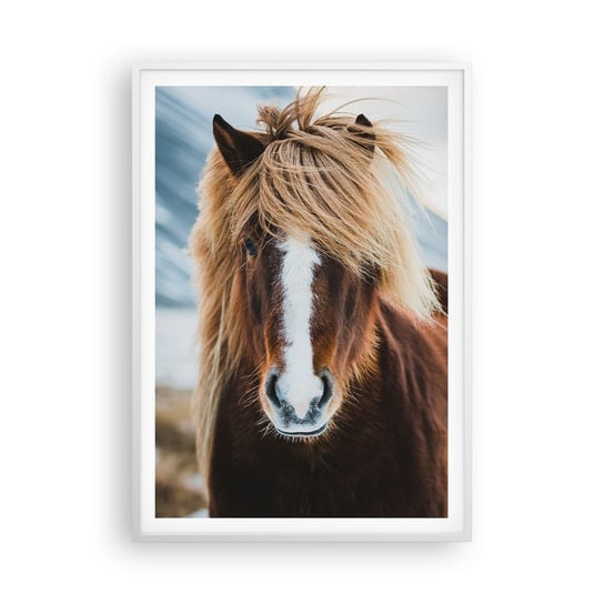 Obraz - Plakat - Czujesz wolność? - 70x100cm - Koń Natura Zwierzęta - Foto Plakaty w ramie koloru białego do Salonu Sypialni ARTTOR ARTTOR