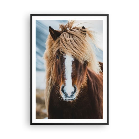 Obraz - Plakat - Czujesz wolność? - 70x100cm - Koń Natura Zwierzęta - Foto Plakaty w ramie koloru czarnego do Salonu Sypialni ARTTOR ARTTOR