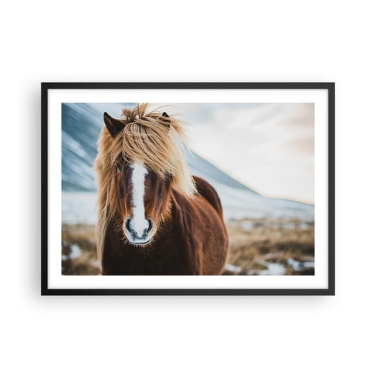 Obraz - Plakat - Czujesz wolność? - 70x50cm - Koń Natura Zwierzęta - Nowoczesny modny obraz Plakat czarna rama ARTTOR ARTTOR