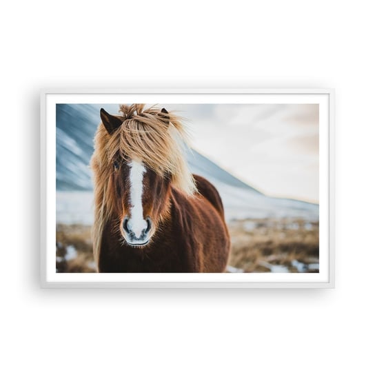 Obraz - Plakat - Czujesz wolność? - 91x61cm - Koń Natura Zwierzęta - Foto Plakaty na ścianę w ramie białej - Plakat do Salonu Sypialni ARTTOR ARTTOR