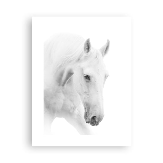 Obraz - Plakat - Czy to jest przyjaźń…? - 30x40cm - Konie Natura Zwierzęta - Foto Plakaty na ścianę bez ramy - Plakat do Salonu Sypialni ARTTOR ARTTOR
