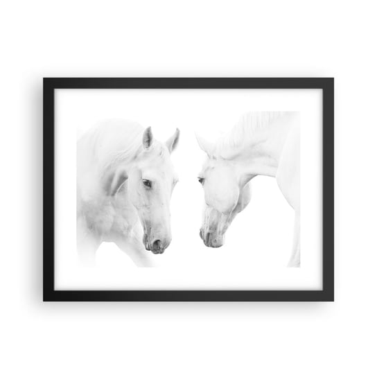 Obraz - Plakat - Czy to jest przyjaźń…? - 40x30cm - Konie Natura Zwierzęta - Foto Plakaty na ścianę w czarnej ramie - Plakat do Salonu Sypialni ARTTOR ARTTOR