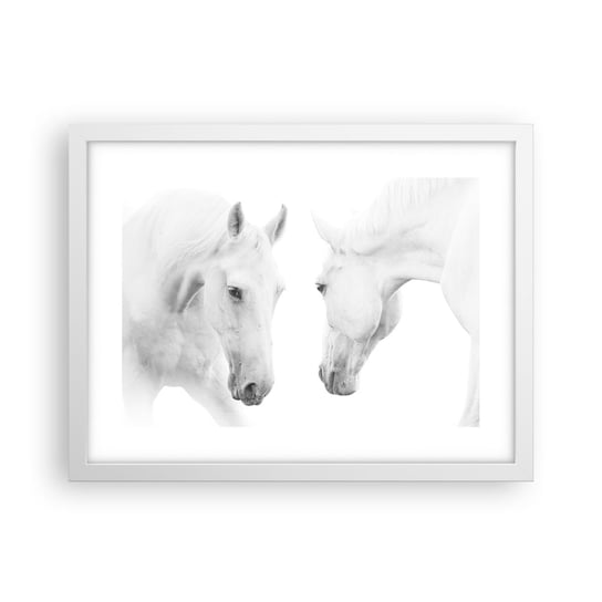 Obraz - Plakat - Czy to jest przyjaźń…? - 40x30cm - Konie Natura Zwierzęta - Foto Plakaty na ścianę w ramie białej - Plakat do Salonu Sypialni ARTTOR ARTTOR