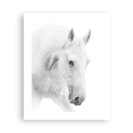 Obraz - Plakat - Czy to jest przyjaźń…? - 40x50cm - Konie Natura Zwierzęta - Foto Plakaty bez ramy do Salonu Sypialni ARTTOR ARTTOR