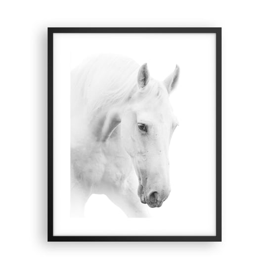 Obraz - Plakat - Czy to jest przyjaźń…? - 40x50cm - Konie Natura Zwierzęta - Foto Plakaty w ramie koloru czarnego do Salonu Sypialni ARTTOR ARTTOR
