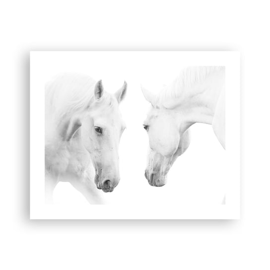 Obraz - Plakat - Czy to jest przyjaźń…? - 50x40cm - Konie Natura Zwierzęta - Foto Plakaty bez ramy do Salonu Sypialni ARTTOR ARTTOR
